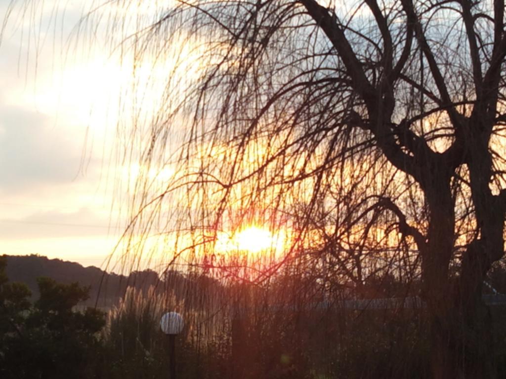 Dimora Antonianna In Valle D'Itria Locorotondo Εξωτερικό φωτογραφία