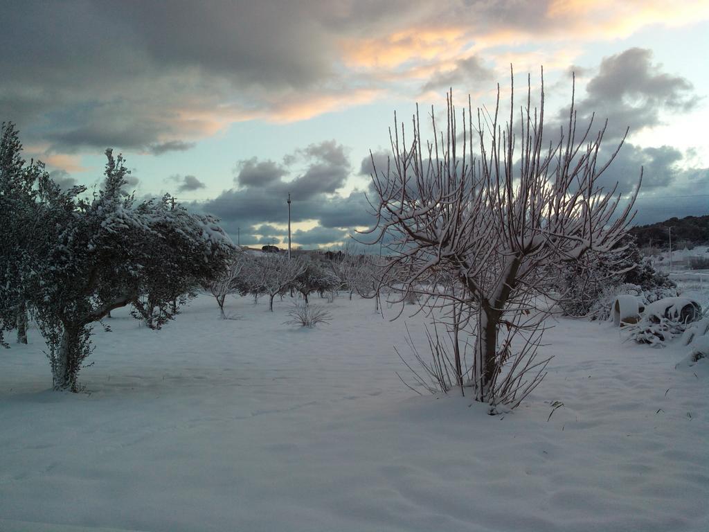 Dimora Antonianna In Valle D'Itria Locorotondo Εξωτερικό φωτογραφία