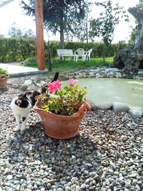 Dimora Antonianna In Valle D'Itria Locorotondo Εξωτερικό φωτογραφία