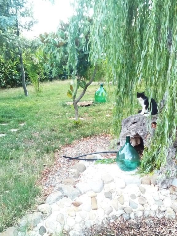 Dimora Antonianna In Valle D'Itria Locorotondo Εξωτερικό φωτογραφία